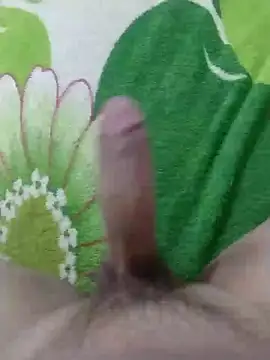 dickbastienweed online show from January 30, 8:42 pm