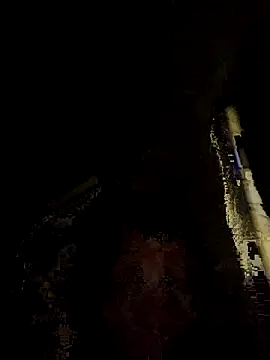 tropikboy online show from November 25, 12:10 am