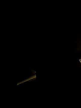 tropikboy online show from February 4, 2:17 am