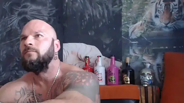 Snapshot of viking_30 chatting on September 17, 10:17 am viking 30 online show from September 17, 10:17 am