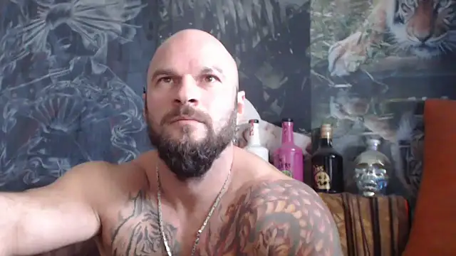 Snapshot of viking_30 chatting on October 13, 7:08 am viking 30 online show from October 13, 7:08 am