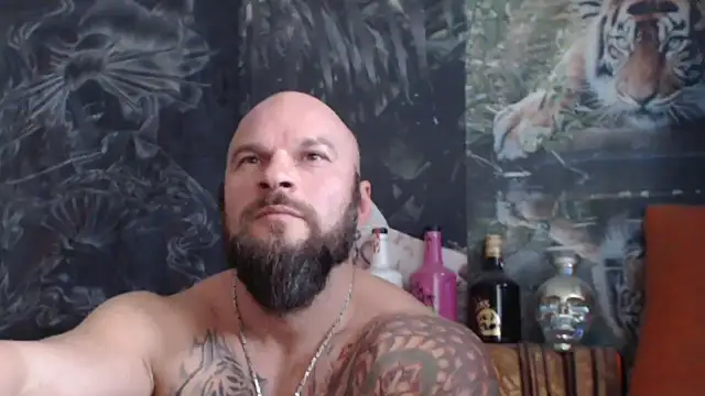 Snapshot of viking_30 chatting on November 4, 7:51 am viking 30 online show from November 4, 7:51 am