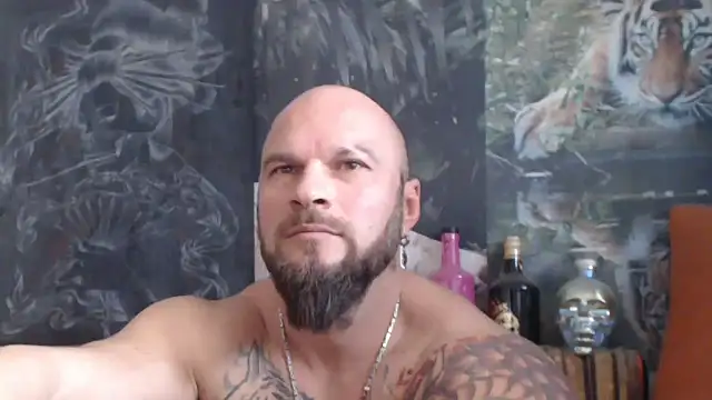 Snapshot of viking_30 chatting on November 6, 8:15 am viking 30 online show from November 6, 8:15 am