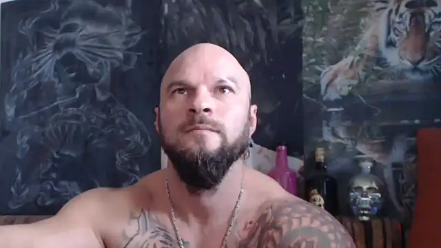 Snapshot of viking_30 chatting on November 9, 8:01 am viking 30 online show from November 9, 8:01 am