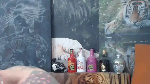 Snapshot of viking_30 chatting on November 14, 7:51 am viking 30 online show from November 14, 7:51 am