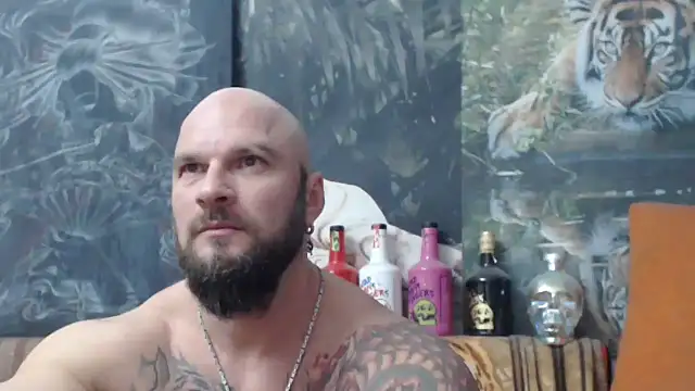 Snapshot of viking_30 chatting on November 17, 7:41 pm viking 30 online show from November 17, 7:41 pm