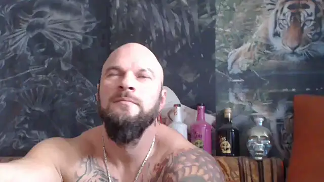 Snapshot of viking_30 chatting on November 18, 7:46 am viking 30 online show from November 18, 7:46 am