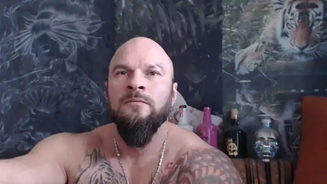 Snapshot of viking_30 chatting on November 21, 7:51 am viking 30 online show from November 21, 7:51 am