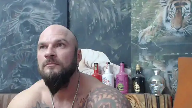 Snapshot of viking_30 chatting on November 22, 6:51 pm viking 30 online show from November 22, 6:51 pm