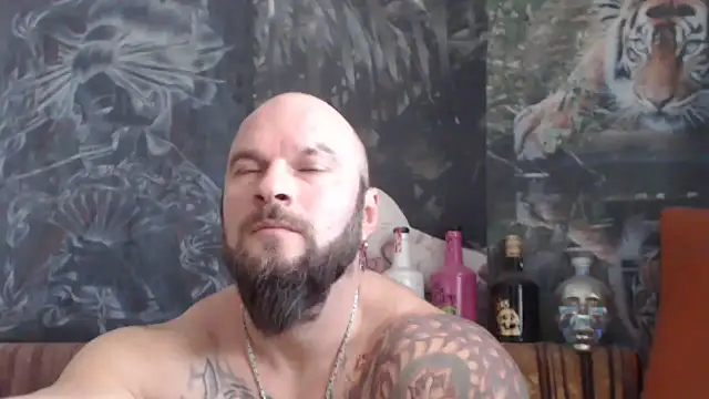 Snapshot of viking_30 chatting on November 26, 7:42 am viking 30 online show from November 26, 7:42 am