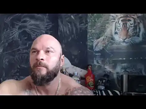 viking 30 online show from April 22, 6:16 am