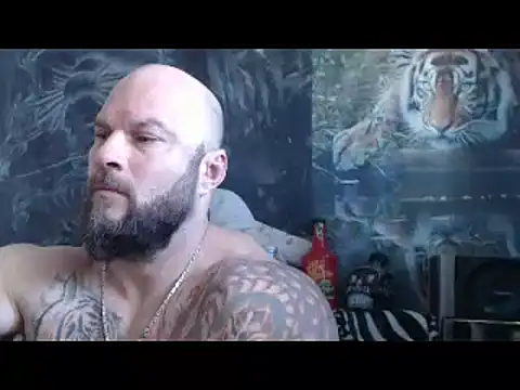 viking 30 online show from April 23, 6:58 am