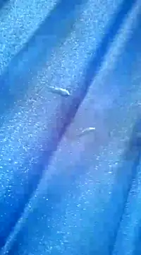 Luismiguel55 online show from March 8, 10:11 am