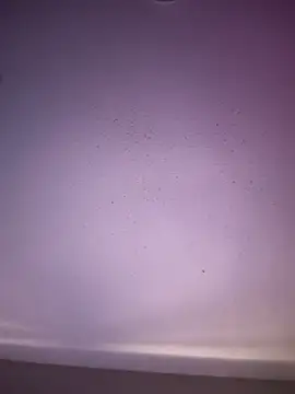 Snapshot of 6lue6a6y69 chatting on November 1, 5:20 am 6lue6a6y69 online show from November 1, 5:20 am