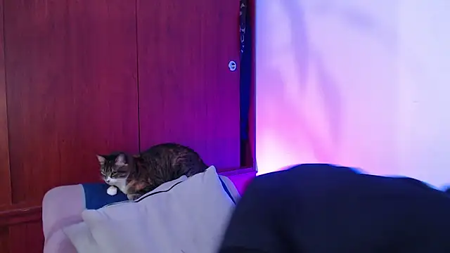 Raventh  online show from March 14, 11:59 am