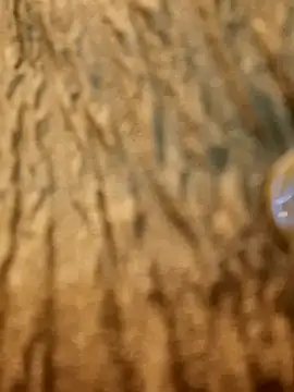 Snapshot of Dirtyfeelin chatting on February 13, 11:28 am Dirtyfeelin online show from February 13, 11:28 am