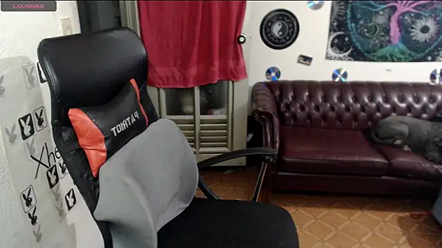 Snapshot of xherry_horny chatting on February 19, 5:05 am xherry horny online show from February 19, 5:05 am