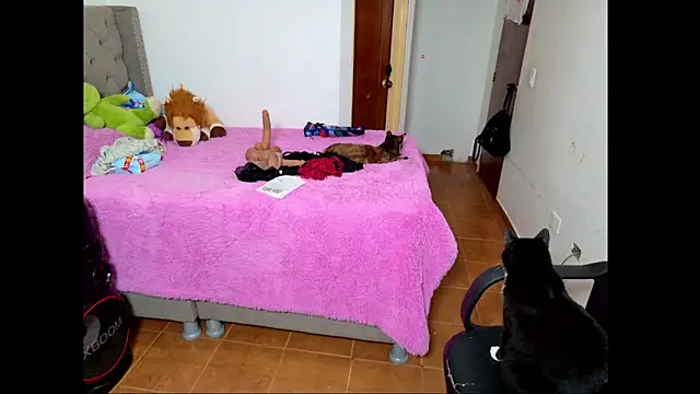 emily honter online show from December 14, 8:46 pm