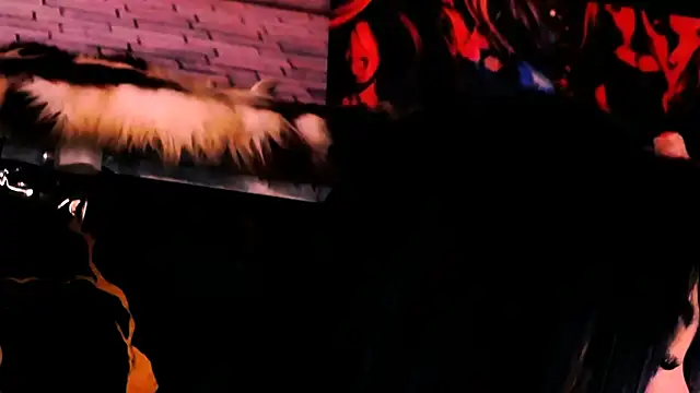 indian dreamgirl online show from April 8, 12:05 pm