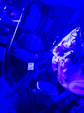 justinewe69 online show from September 23, 3:31 am