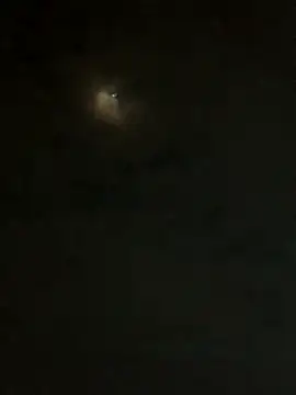 jesusthedonkey online show from November 30, 1:31 am