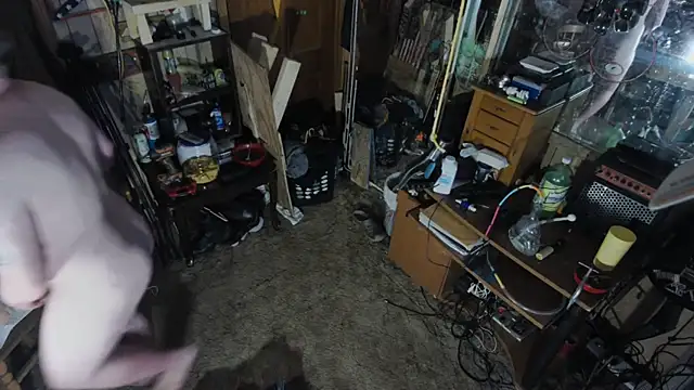 sex4fun 21 online show from March 12, 4:41 am