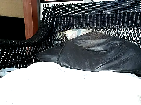 HungHawaiian808xh online show from December 16, 2:15 am