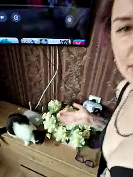 LazyTanukii online show from March 11, 7:15 am