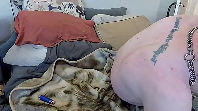 Snapshot of pyrowuff chatting on October 28, 4:53 pm pyrowuff online show from October 28, 4:53 pm