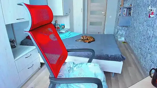 Snapshot of DUSSY_PUSSY chatting on February 11, 4:22 am DUSSY PUSSY online show from February 11, 4:22 am