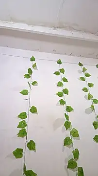 Snapshot of shayna_all chatting on November 25, 6:08 pm shayna all online show from November 25, 6:08 pm