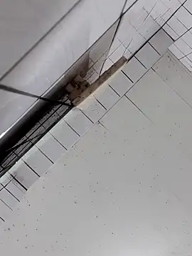 Snapshot of cindy01113520 chatting on October 2, 2:57 pm cindy01113520 online show from October 2, 2:57 pm