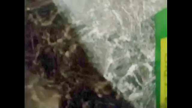 Snapshot of hairyuncut00 chatting on January 1, 12:43 am hairyuncut00 online show from January 1, 12:43 am