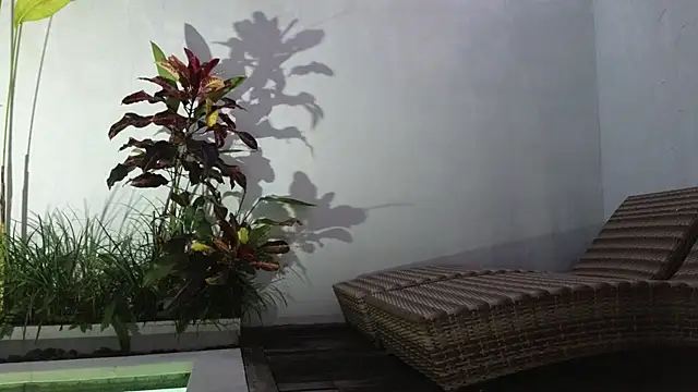 TammiLou online show from March 6, 10:52 am