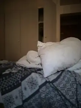 shehandme online show from February 26, 8:24 am