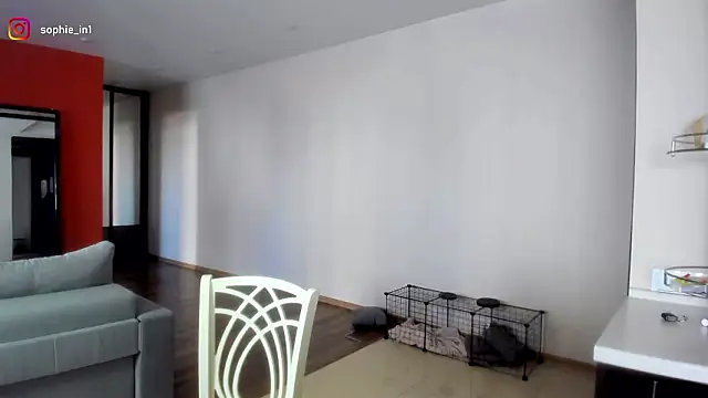  in yan online show from March 16, 4:29 am