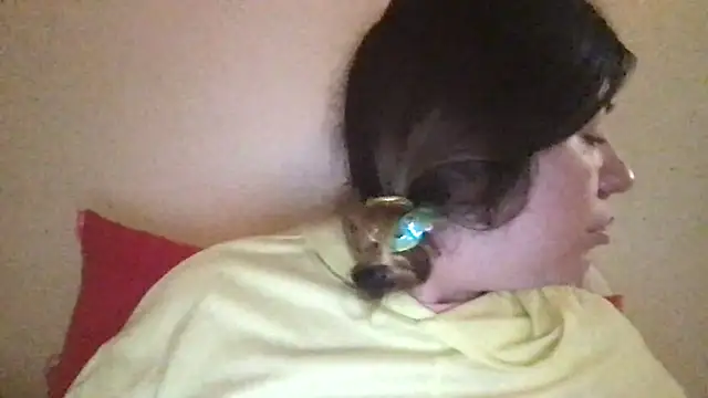 HYPHYtype online show from March 2, 4:07 am