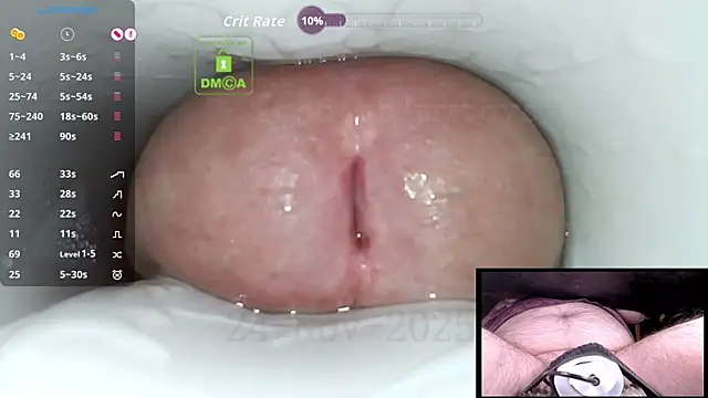 Snapshot of controlmytoys chatting on November 24, 8:08 pm controlmytoys online show from November 24, 8:08 pm