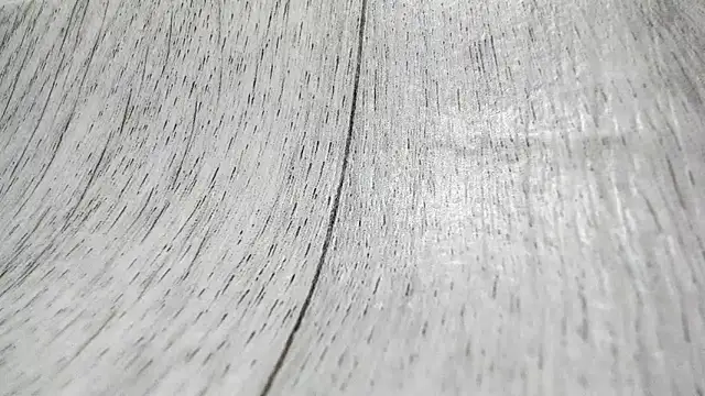 LittleSonya online show from December 15, 4:55 pm