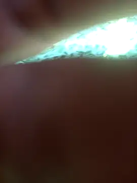 FinableKnee online show from September 24, 5:00 am