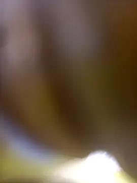 FinableKnee online show from January 6, 10:08 am