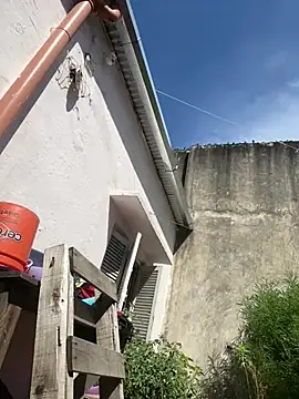 Alicbranca online show from February 26, 2:05 pm