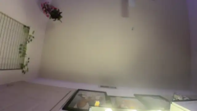 rennibear online show from December 9, 2:56 am