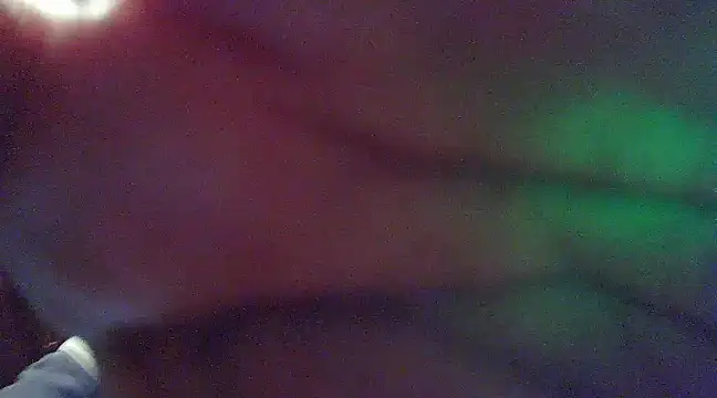 crazyneighbo r online show from December 2, 12:41 am