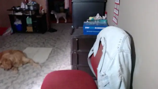 Snapshot of Barbiegomez chatting on March 17, 6:11 pm Barbiegomez online show from March 17, 6:11 pm