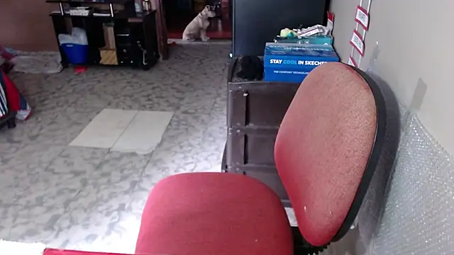 Snapshot of Barbiegomez chatting on March 19, 4:11 pm Barbiegomez online show from March 19, 4:11 pm