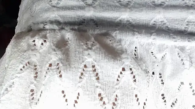 aleera starxx982 online show from January 11, 11:59 am