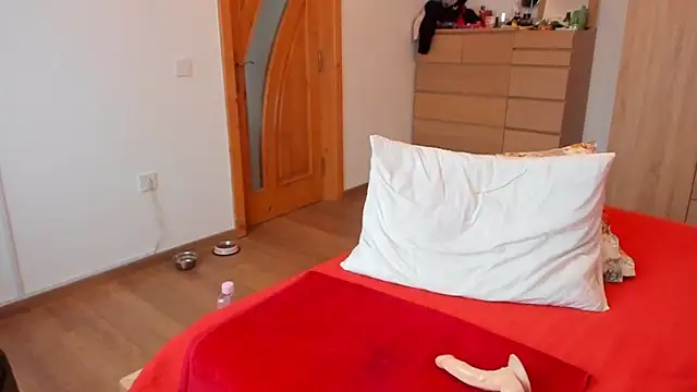 Snapshot of wildalissa chatting on February 21, 6:59 pm wildalissa online show from February 21, 6:59 pm