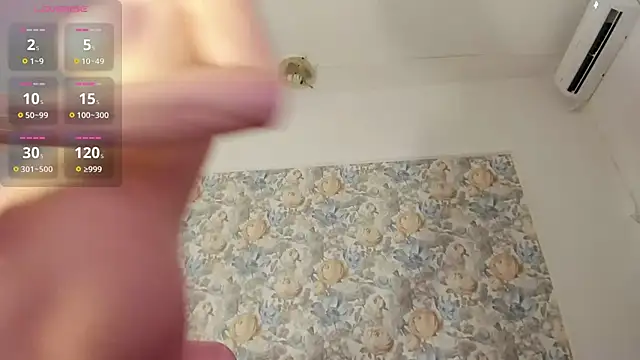 illegal lorry online show from February 15, 5:26 am