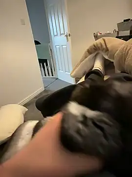 Furdale online show from March 12, 4:57 pm